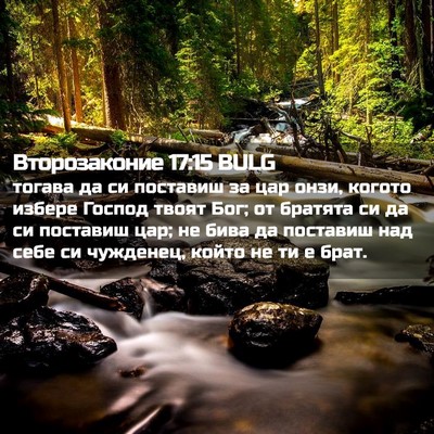 Picture 02 - Второзаконие 17:15 BULG - тогава да си поставиш за - Bible Verse Picture