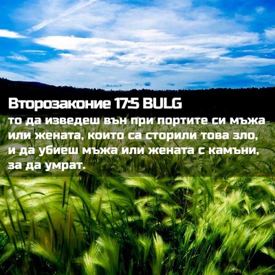 Picture 02 - Второзаконие 17:5 BULG - то да изведеш вън при - Bible Verse Picture