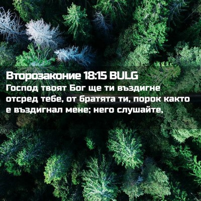 Picture 02 - Второзаконие 18:15 BULG - Господ твоят Бог ще ти - Bible Verse Picture