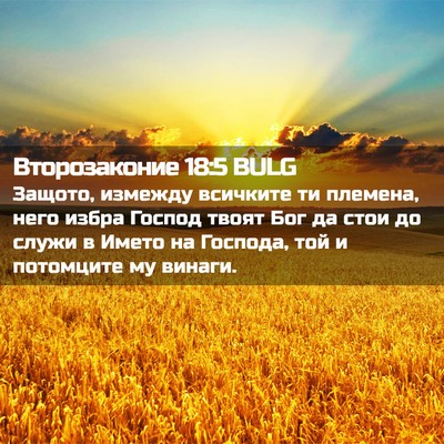 Picture 02 - Второзаконие 18:5 BULG - Защото, измежду всичките - Bible Verse Picture