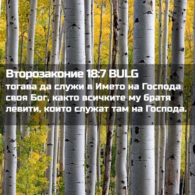 Picture 02 - Второзаконие 18:7 BULG - тогава да служи в Името на - Bible Verse Picture