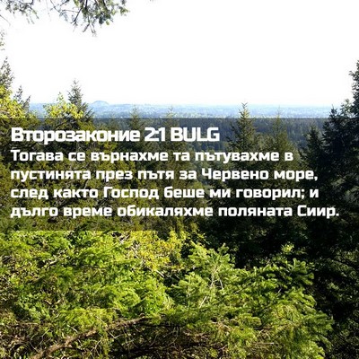 Picture 02 - Второзаконие 2:1 BULG - Тогава се върнахме та - Bible Verse Picture