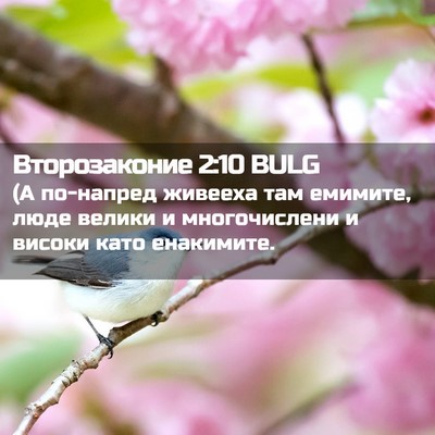 Picture 02 - Второзаконие 2:10 BULG - (А по-напред живееха там - Bible Verse Picture