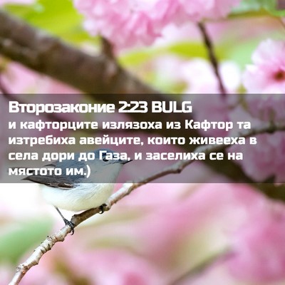 Picture 02 - Второзаконие 2:23 BULG - и кафторците излязоха из - Bible Verse Picture