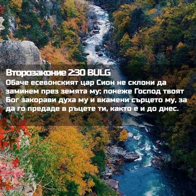 Picture 02 - Второзаконие 2:30 BULG - Обаче есевонският цар Сион - Bible Verse Picture