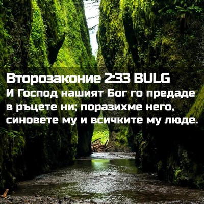 Picture 02 - Второзаконие 2:33 BULG - И Господ нашият Бог го - Bible Verse Picture