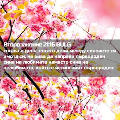 Picture 02 - Второзаконие 21:16 BULG - тогава в деня, когато дели - Bible Verse Picture