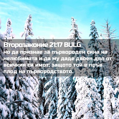 Picture 02 - Второзаконие 21:17 BULG - но да признае за - Bible Verse Picture