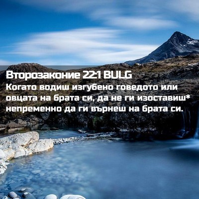 Picture 02 - Второзаконие 22:1 BULG - Когато водиш изгубено - Bible Verse Picture