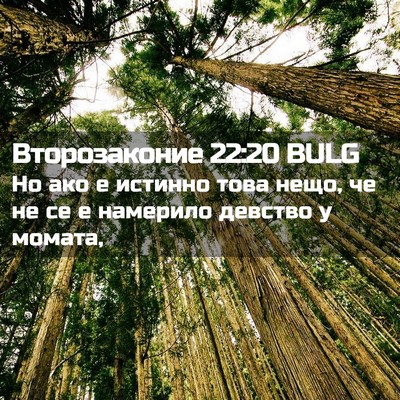 Picture 02 - Второзаконие 22:20 BULG - Но ако е истинно това нещо, - Bible Verse Picture