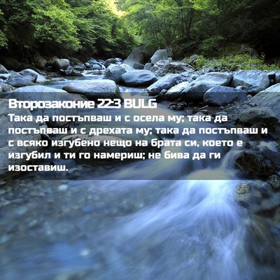 Picture 02 - Второзаконие 22:3 BULG - Така да постъпваш и с осела - Bible Verse Picture