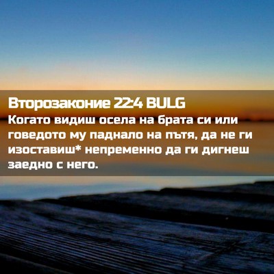 Picture 02 - Второзаконие 22:4 BULG - Когато видиш осела на - Bible Verse Picture