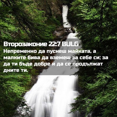 Picture 02 - Второзаконие 22:7 BULG - Непременно да пуснеш - Bible Verse Picture