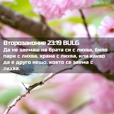 Picture 02 - Второзаконие 23:19 BULG - Да не заемаш на брата си с - Bible Verse Picture