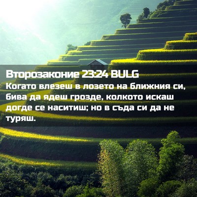 Picture 02 - Второзаконие 23:24 BULG - Когато влезеш в лозето на - Bible Verse Picture
