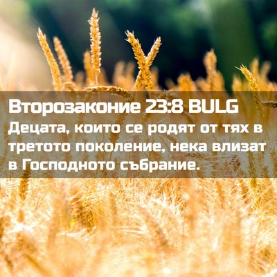 Picture 02 - Второзаконие 23:8 BULG - Децата, които се родят от - Bible Verse Picture