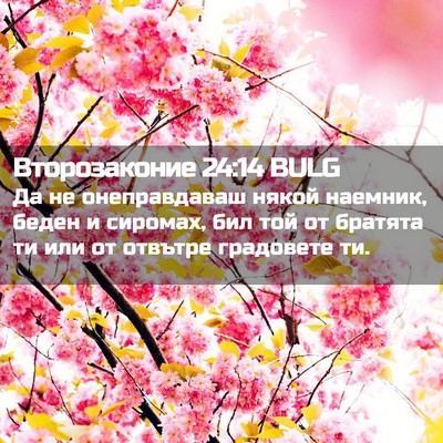 Picture 02 - Второзаконие 24:14 BULG - Да не онеправдаваш някой - Bible Verse Picture