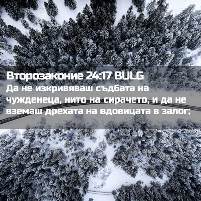Picture 02 - Второзаконие 24:17 BULG - Да не изкривяваш съдбата - Bible Verse Picture