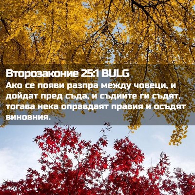 Picture 02 - Второзаконие 25:1 BULG - Ако се появи разпра между - Bible Verse Picture