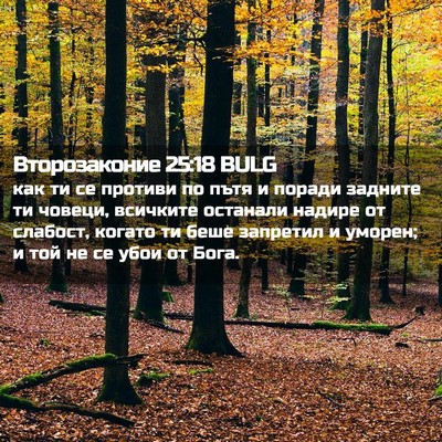 Picture 02 - Второзаконие 25:18 BULG - как ти се противи по пътя и - Bible Verse Picture