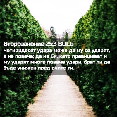 Picture 02 - Второзаконие 25:3 BULG - Четиридесет удара може да - Bible Verse Picture