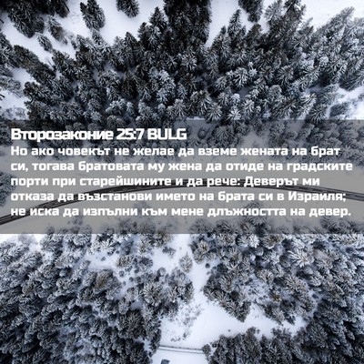 Picture 02 - Второзаконие 25:7 BULG - Но ако човекът не желае да - Bible Verse Picture