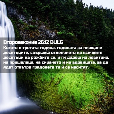 Picture 02 - Второзаконие 26:12 BULG - Когато в третата година, - Bible Verse Picture