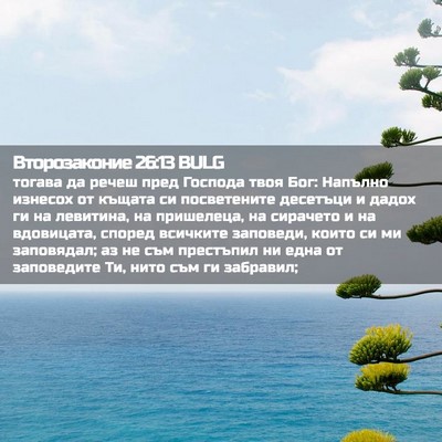 Picture 02 - Второзаконие 26:13 BULG - тогава да речеш пред - Bible Verse Picture