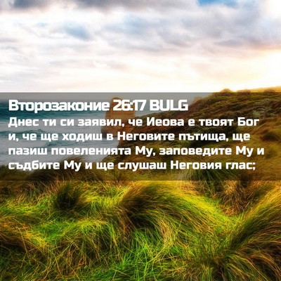 Picture 02 - Второзаконие 26:17 BULG - Днес ти си заявил, че Иеова - Bible Verse Picture