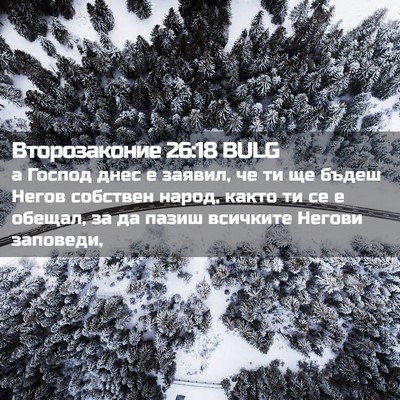 Picture 02 - Второзаконие 26:18 BULG - а Господ днес е заявил, че - Bible Verse Picture