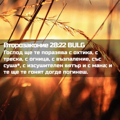 Picture 02 - Второзаконие 28:22 BULG - Господ ще те поразява с - Bible Verse Picture