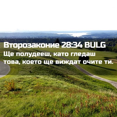 Picture 02 - Второзаконие 28:34 BULG - Ще полудееш, като гледаш - Bible Verse Picture