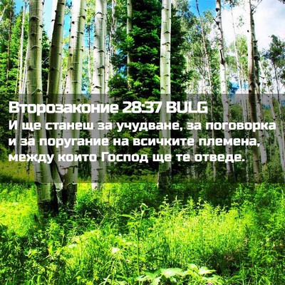 Picture 02 - Второзаконие 28:37 BULG - И ще станеш за учудване, за - Bible Verse Picture