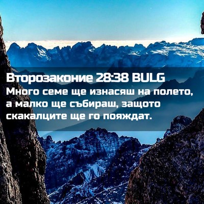 Picture 02 - Второзаконие 28:38 BULG - Много семе ще изнасяш на - Bible Verse Picture