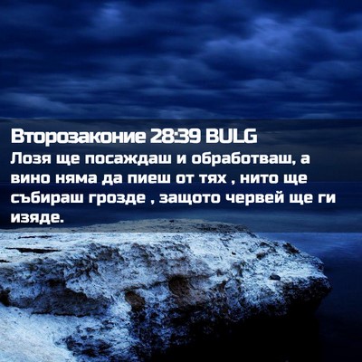 Picture 02 - Второзаконие 28:39 BULG - Лозя ще посаждаш и - Bible Verse Picture