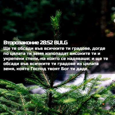 Picture 02 - Второзаконие 28:52 BULG - Ще те обсади във всичките - Bible Verse Picture