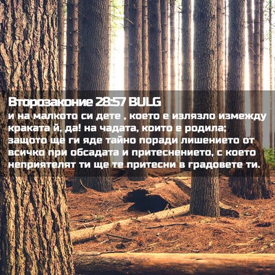 Picture 02 - Второзаконие 28:57 BULG - и на малкото си дете , което - Bible Verse Picture