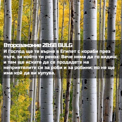Picture 02 - Второзаконие 28:68 BULG - И Господ ще те върне в - Bible Verse Picture