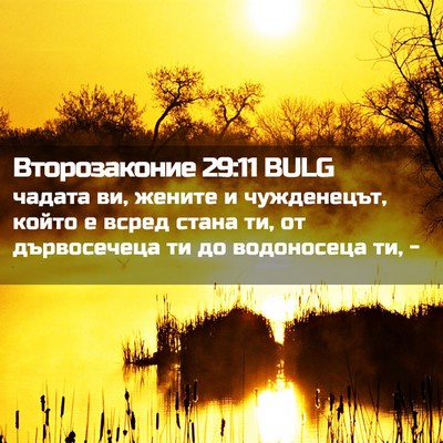 Picture 02 - Второзаконие 29:11 BULG - чадата ви, жените и - Bible Verse Picture