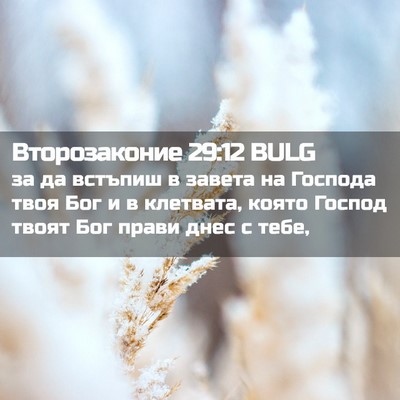 Picture 02 - Второзаконие 29:12 BULG - за да встъпиш в завета на - Bible Verse Picture