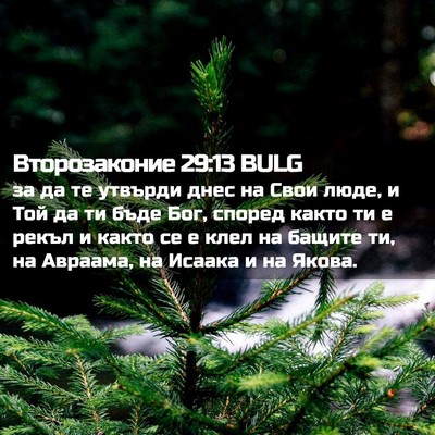 Picture 02 - Второзаконие 29:13 BULG - за да те утвърди днес на - Bible Verse Picture