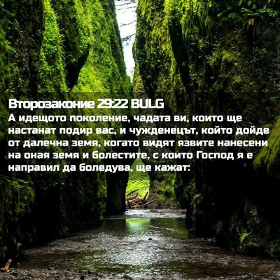 Picture 02 - Второзаконие 29:22 BULG - А идещото поколение, - Bible Verse Picture