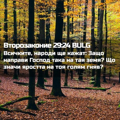 Picture 02 - Второзаконие 29:24 BULG - Всичките, народи ще кажат: - Bible Verse Picture