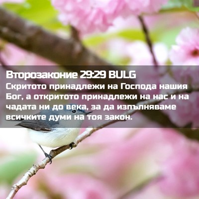 Picture 02 - Второзаконие 29:29 BULG - Скритото принадлежи на - Bible Verse Picture