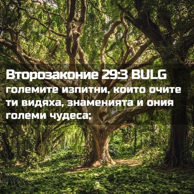 Picture 02 - Второзаконие 29:3 BULG - големите изпитни, които - Bible Verse Picture