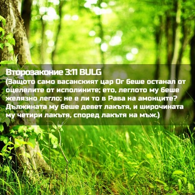 Picture 02 - Второзаконие 3:11 BULG - (Защото само васанският - Bible Verse Picture
