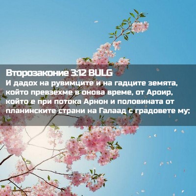 Picture 02 - Второзаконие 3:12 BULG - И дадох на рувимците и на - Bible Verse Picture