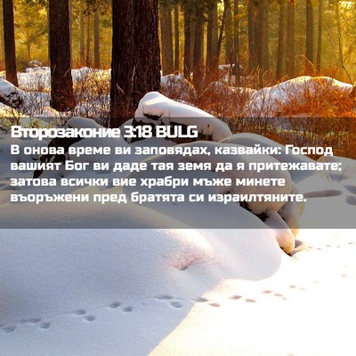 Picture 02 - Второзаконие 3:18 BULG - В онова време ви заповядах, - Bible Verse Picture