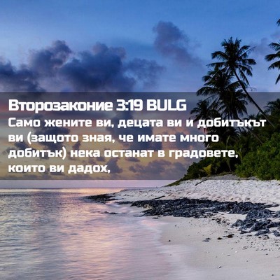 Picture 02 - Второзаконие 3:19 BULG - Само жените ви, децата ви и - Bible Verse Picture