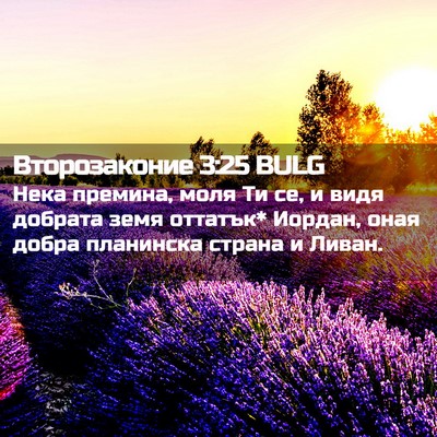 Picture 02 - Второзаконие 3:25 BULG - Нека премина, моля Ти се, и - Bible Verse Picture
